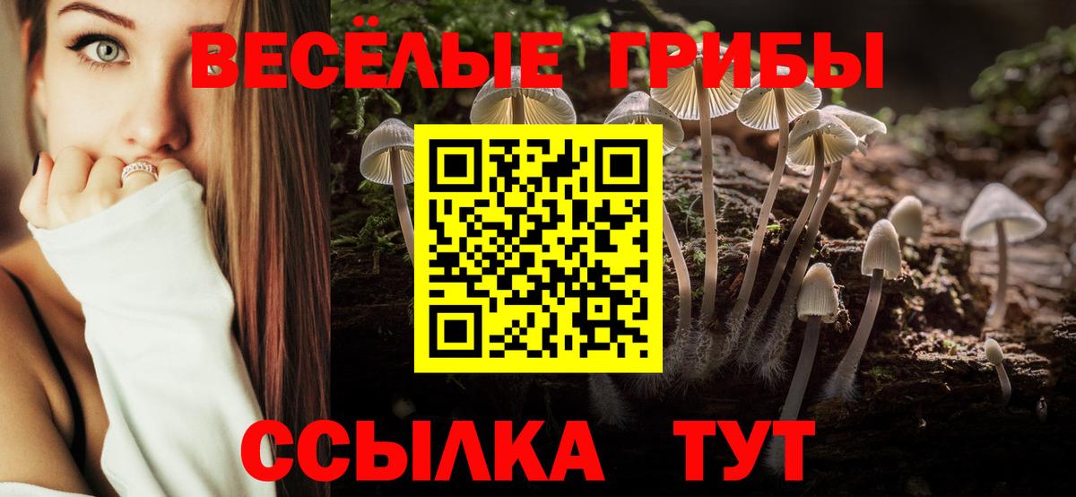 Псилоцибиновые грибы Psilocybine cubensis  Вход с VPN  Минеральные Воды 